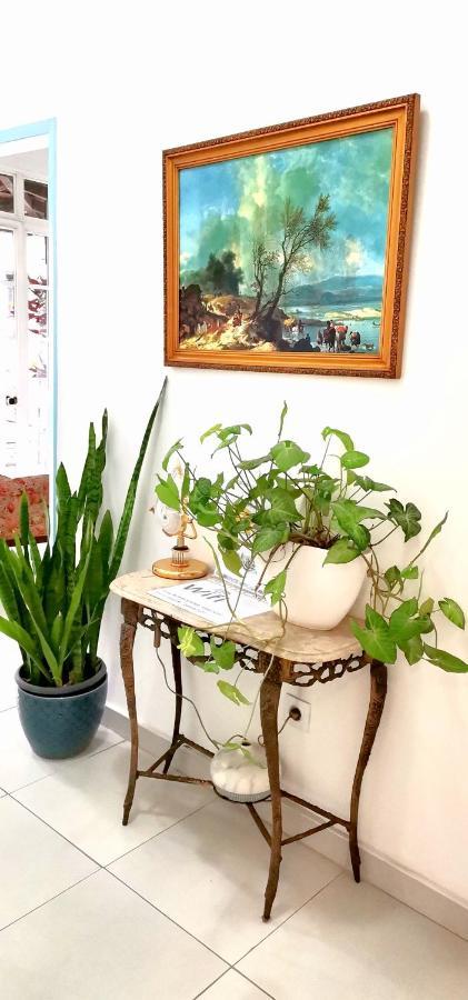 Home & Flower - Private Bedrooms Funchal 외부 사진