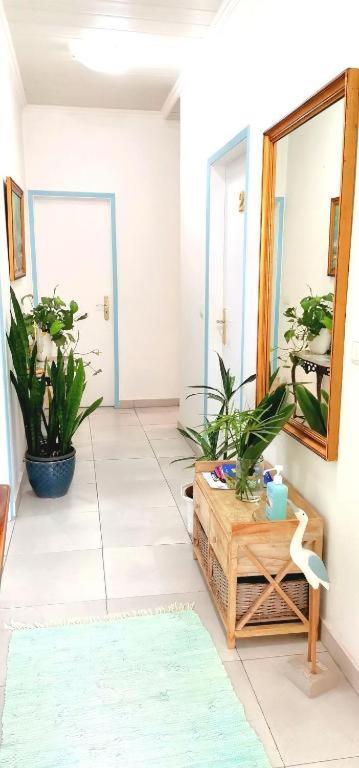 Home & Flower - Private Bedrooms Funchal 외부 사진