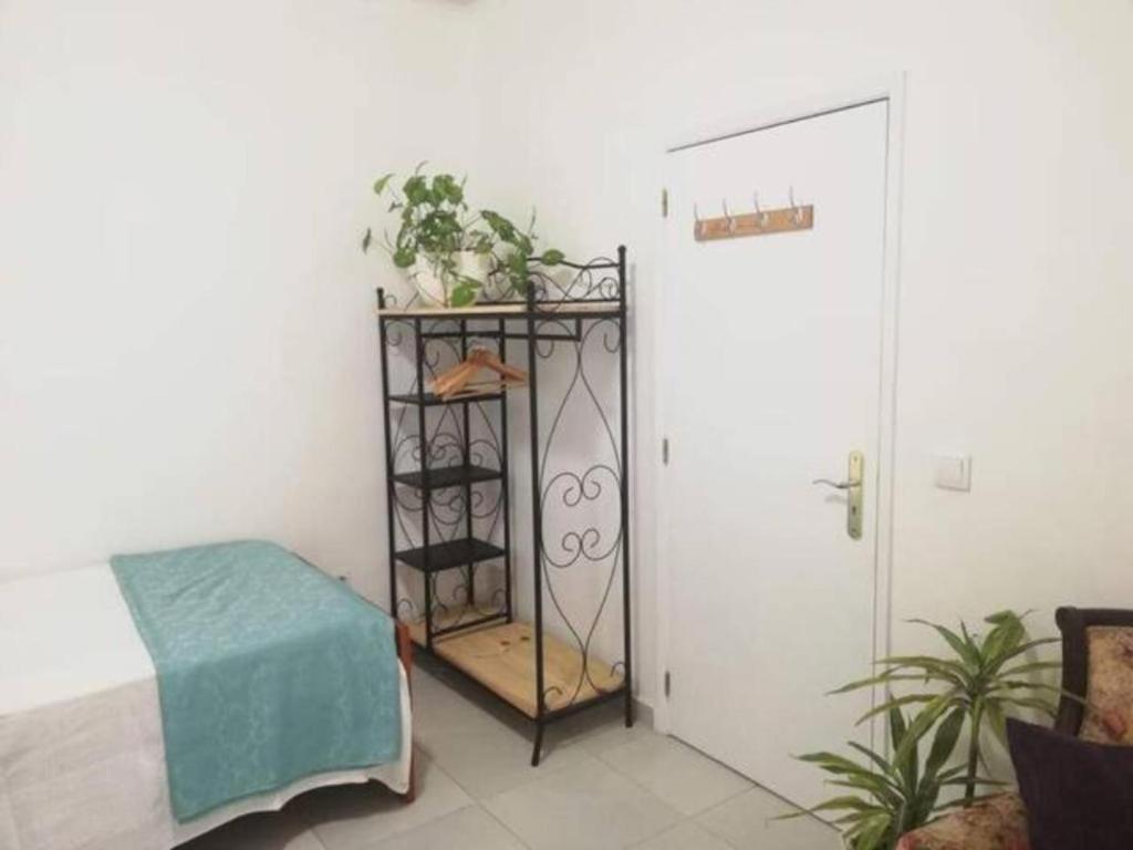 Home & Flower - Private Bedrooms Funchal 외부 사진