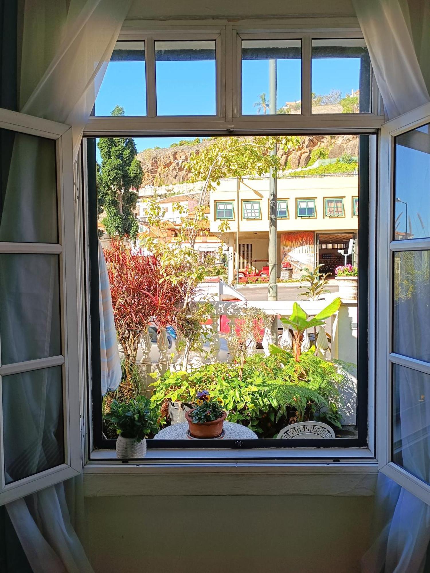 Home & Flower - Private Bedrooms Funchal 객실 사진
